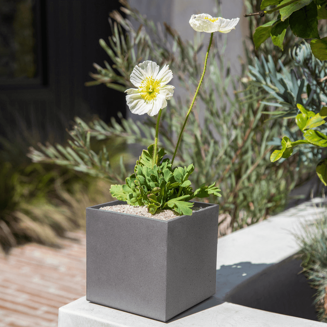 Veradek - Jardinière GEO - cube - PurPatio.ca