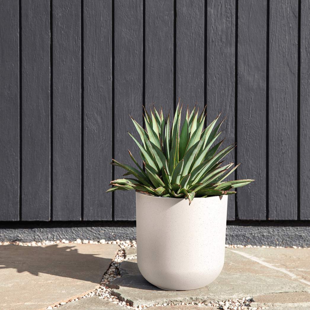 Veradek - Jardiniere MASON - kona ten - PurPatio.ca