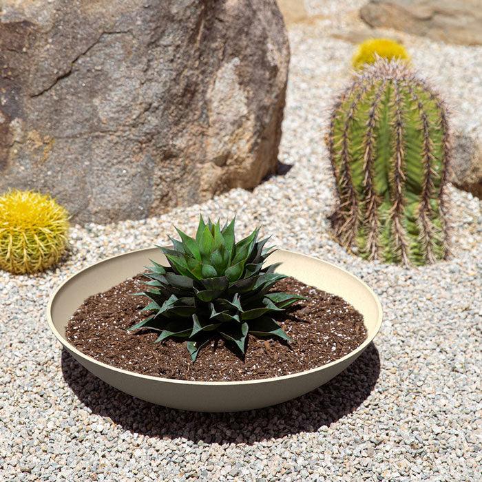 Veradek - Jardiniere MASON -lane bowl - PurPatio.ca